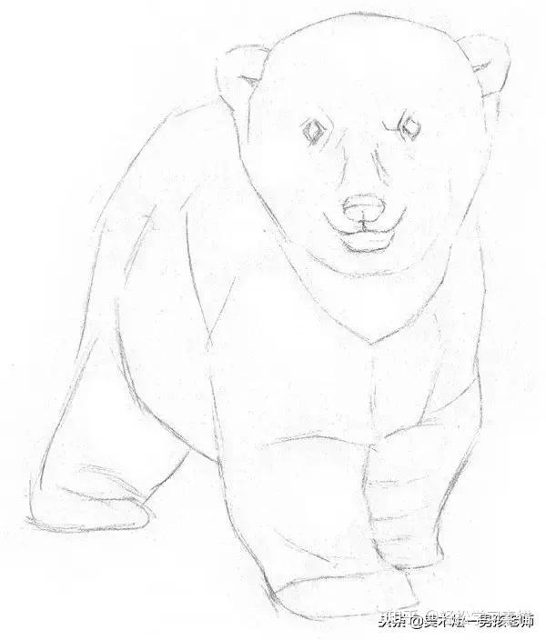 素描丨只需要八个步骤,零基础也能画好一只北极熊