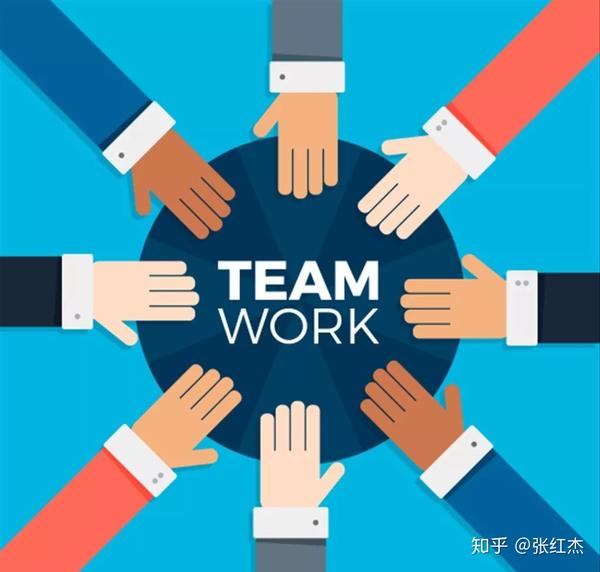 专业团队维护价格、服务品质及更多细节一网打尽 (团队维护职能)-虎跃云资讯网