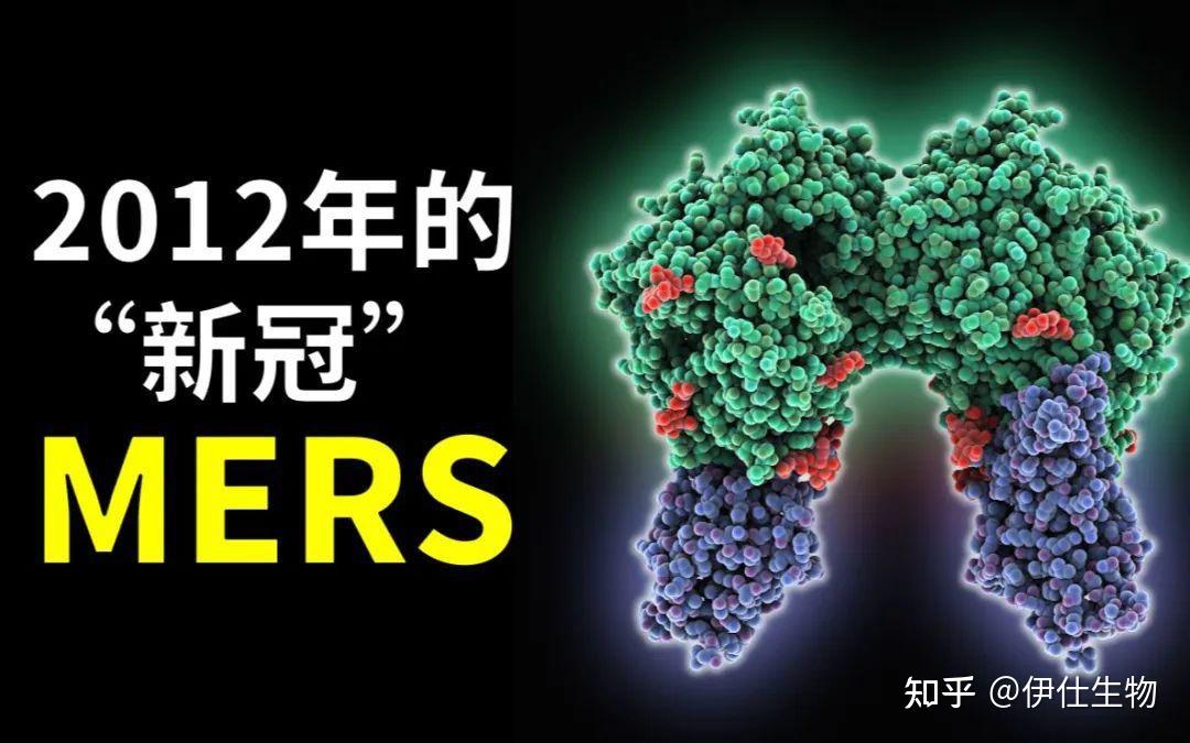 该国确诊1例mers冠状病毒重症病例!致死率远超新冠 - 知乎