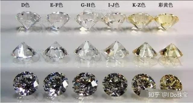 伟德bv1946官网-选购杉木种子这些关键指标不容忽视