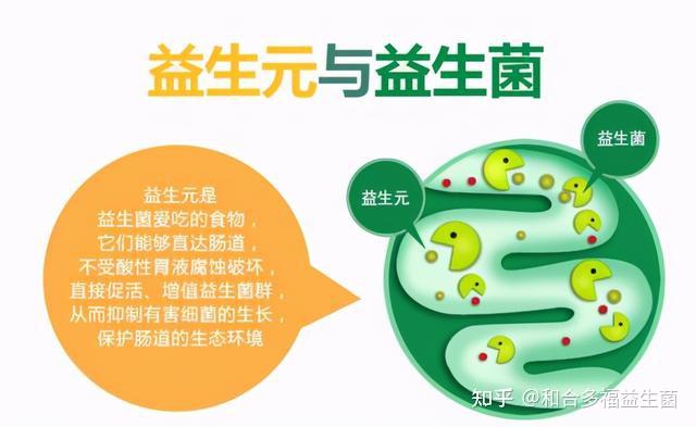 常见的益生元有哪些?有什么好处? - 知乎
