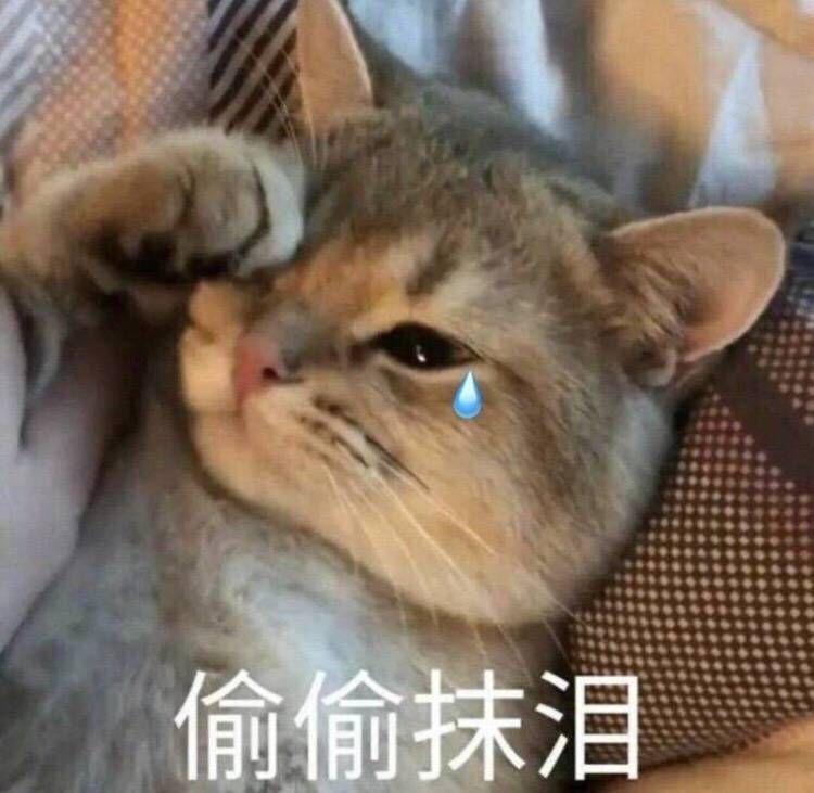 高二下学期选择学美术将来考名牌大学的第二学