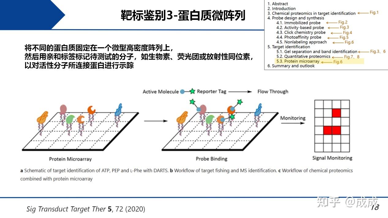 文献解读| 用化学蛋白质组学方法鉴定天然药物的靶标:探针合成、钓靶和蛋白质鉴定 - 知乎
