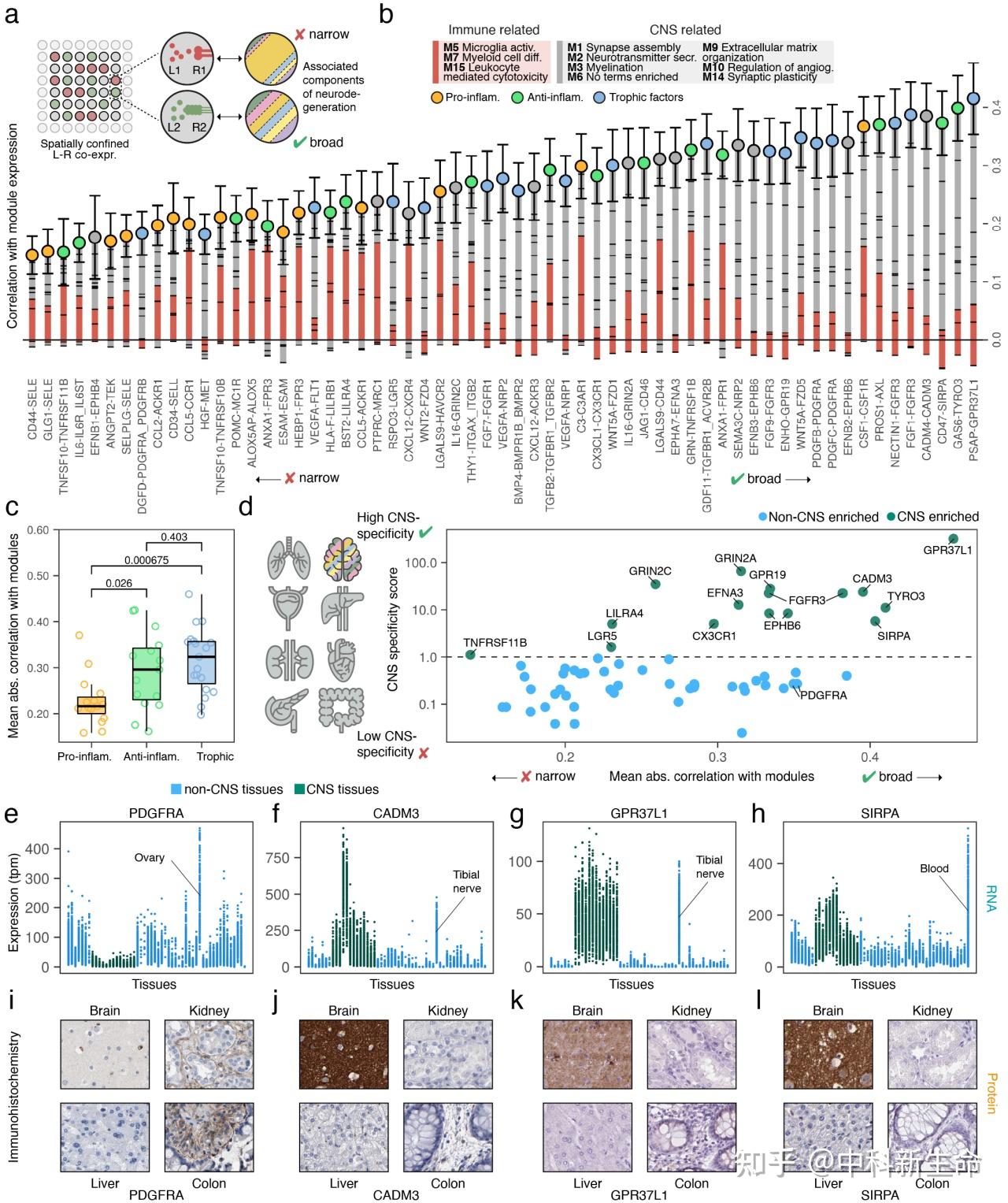 Nature Neuroscience（IF 25.0）| 空间多组学联合发现MS早期神经退行性变通路及治疗靶点 - 知乎