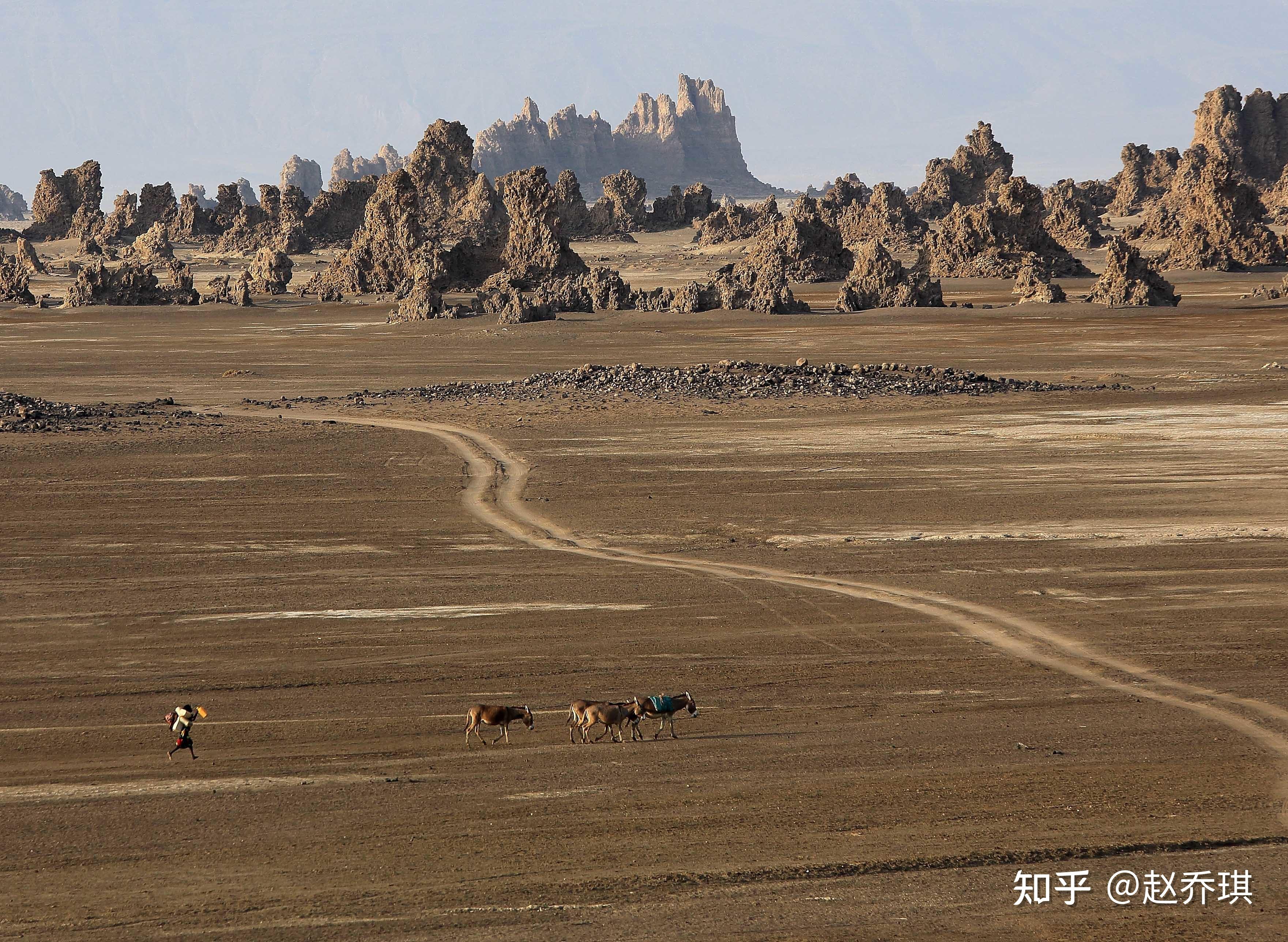吉布提是一个怎么样的国家