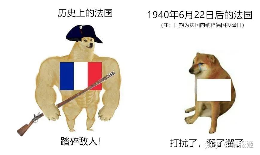 那只活在表情包里的柴犬doge,现在又进化了?