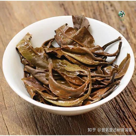 景迈古树白茶用香甜俘获你的心一杯清除里热通畅身心