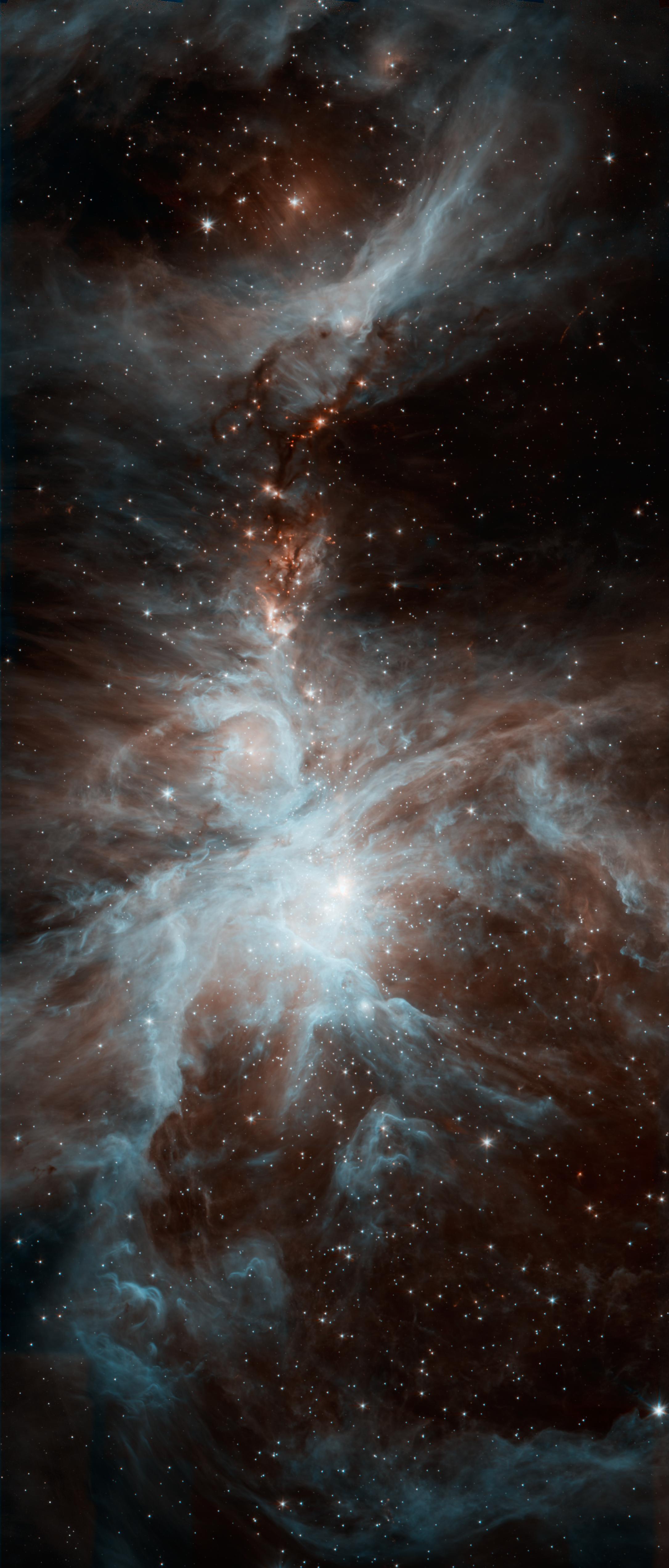 猎户座星云（the Orion nebula） - 知乎