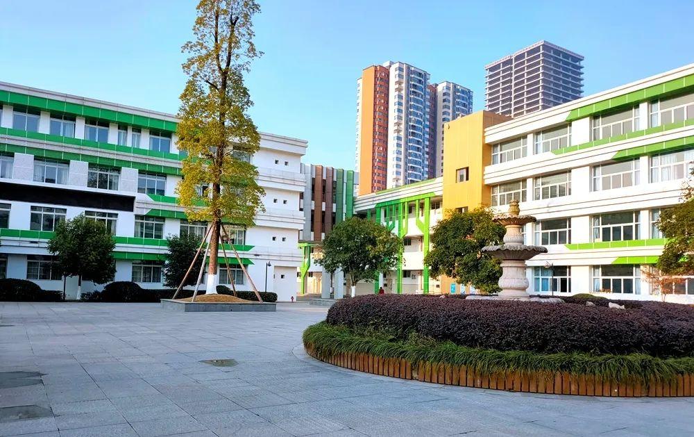 东山国际小学校转眼间,春意落满了校园.