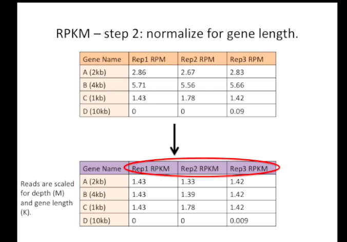 基因差异表达之一 - RPKM, FPKM, TPM, 傻傻分不清楚 - 知乎