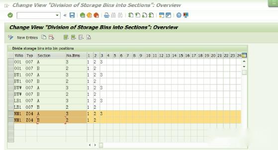 sap-wm-p-storage-unit-type