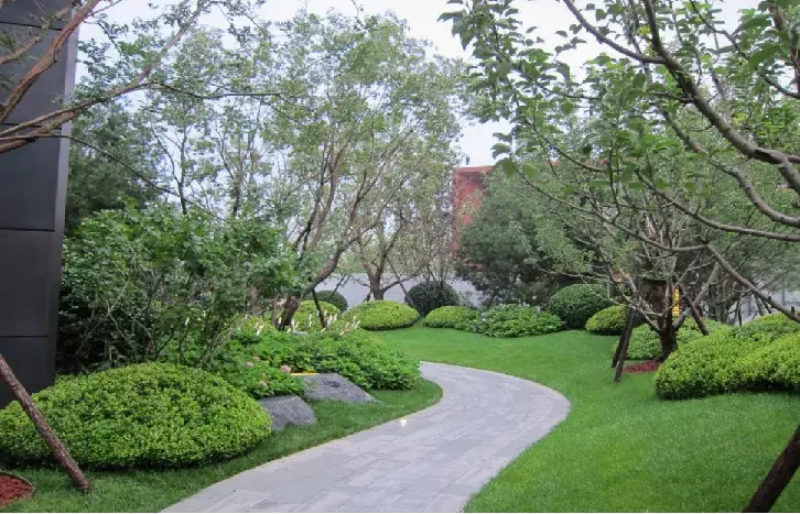 景观软景施工质量应该如何把控