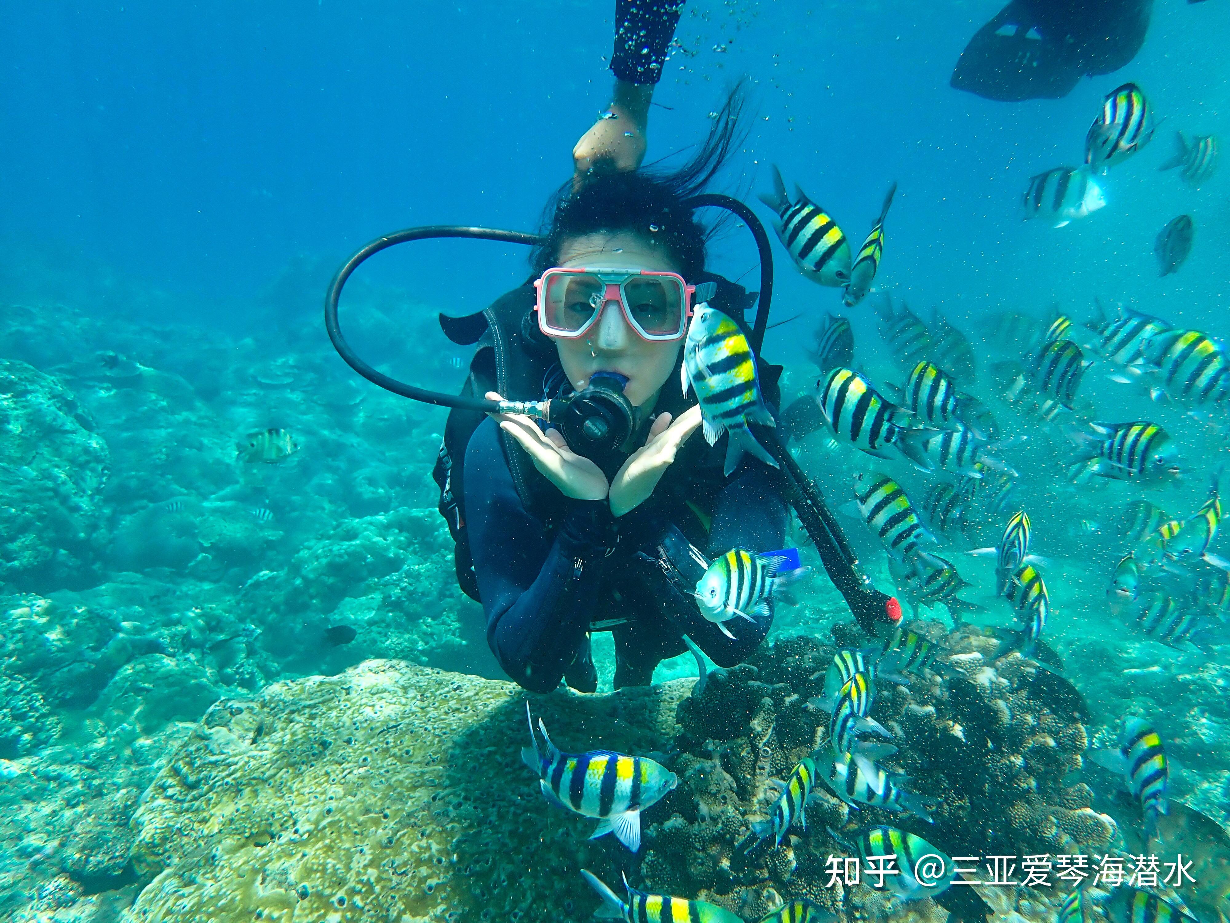 三亚旅行潜水为什么选亚龙湾?附最强潜水攻略(详细版) - 知乎