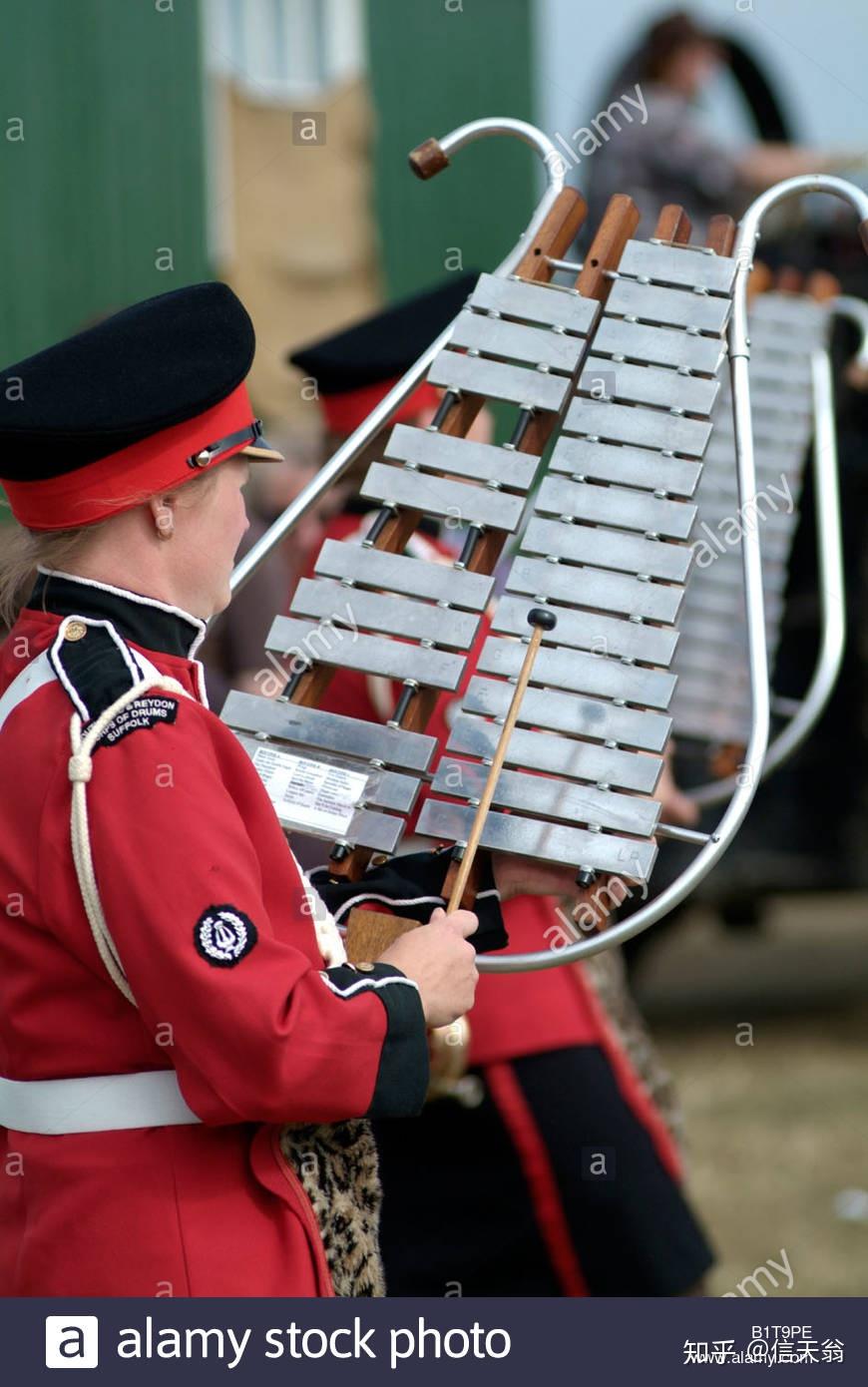 1 钢片琴:我不是玩具.还有,你扛不动