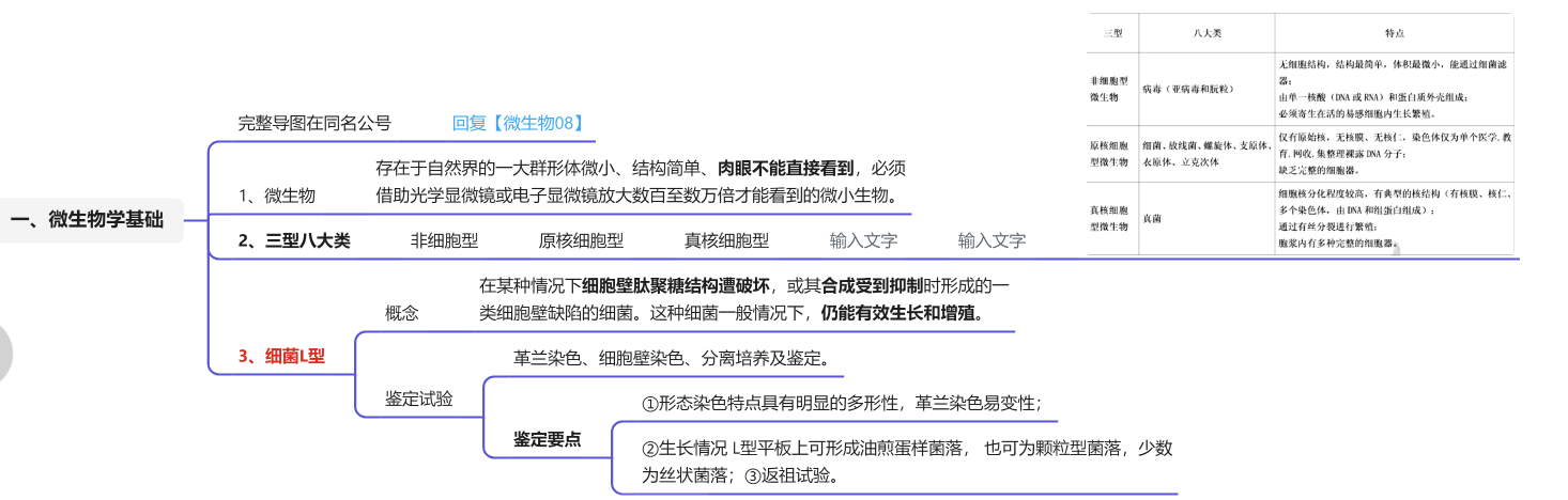 759檢綜微生物08如何快速複習細菌學檢測技術上