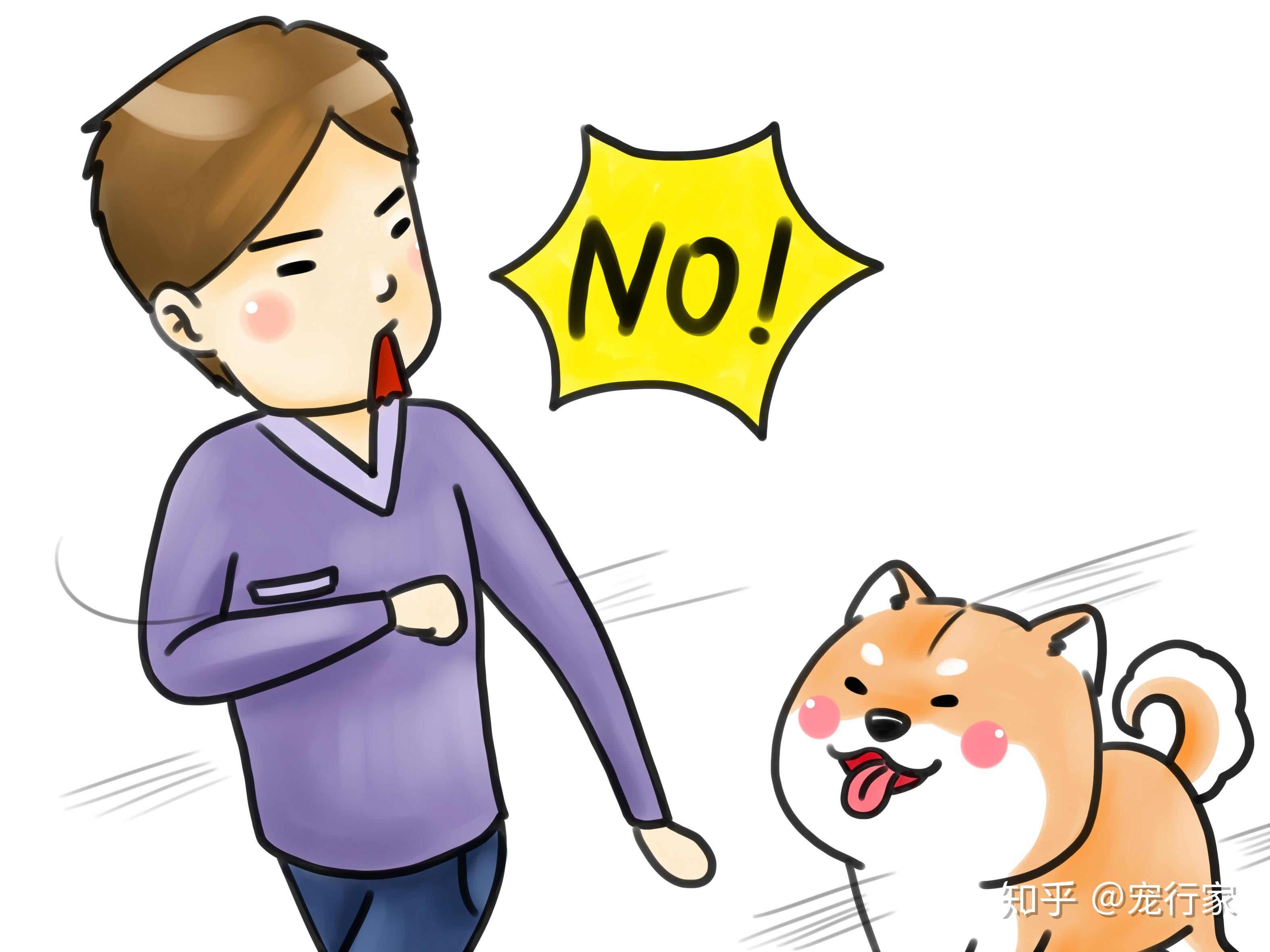 人和狗的矛盾为何越来越大?让狗经历社会化训练已迫在眉睫