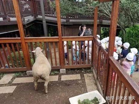 迷你农场攻略