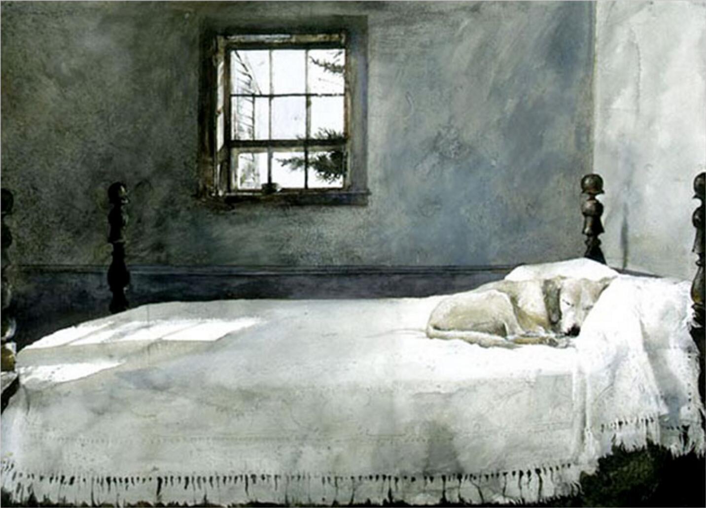 该如何评价艺术家安德鲁·怀斯 Andrew Wyeth？他的作品有哪些特点以及独到之处？ 知乎