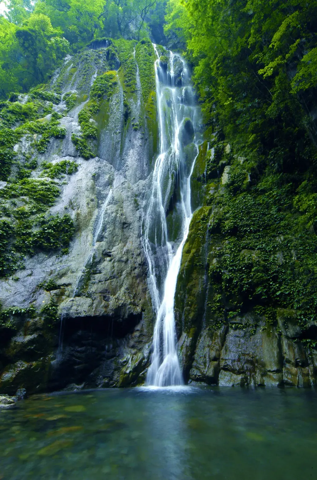 壺瓶山湖南北界的奇妙世界