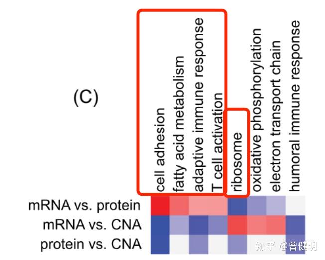 基因的拷贝数，mRNA转录，和蛋白翻译水平相关性迷思 - 知乎