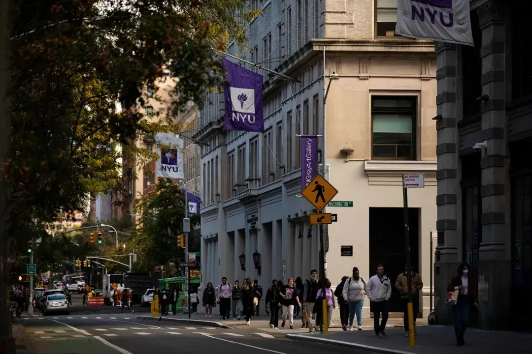 纽约大学