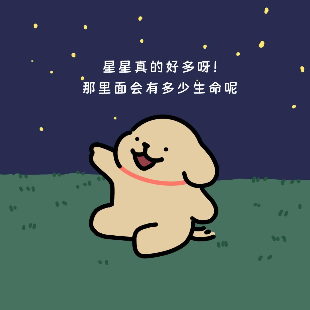小狗头像合集 - 知乎