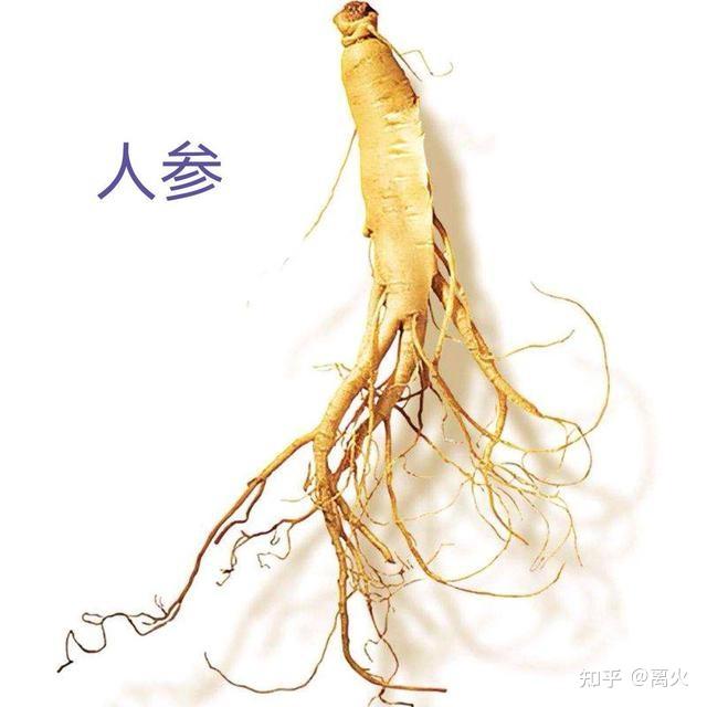 收藏:s中医脉药对应歌