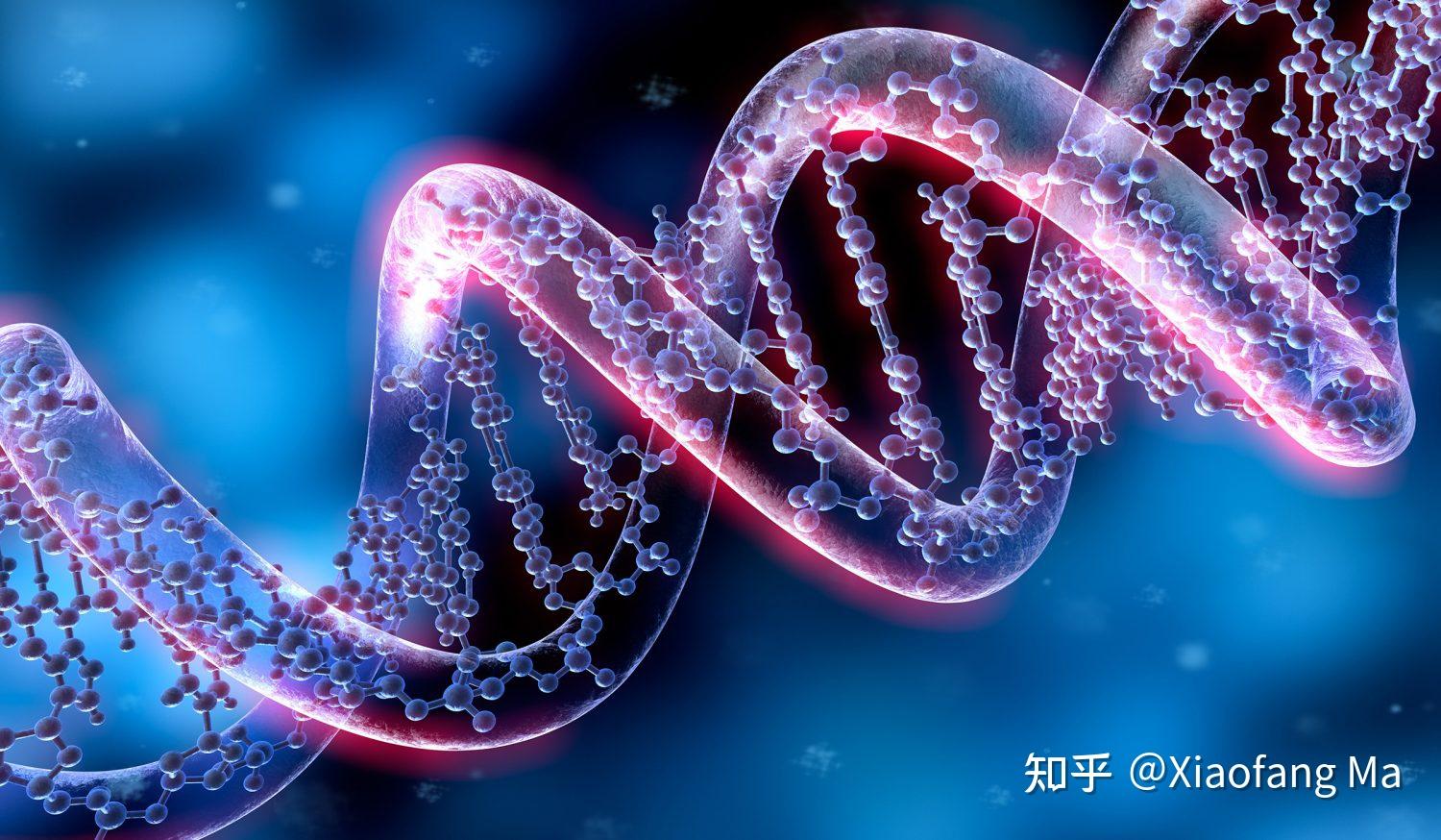 行为遗传学最新的研究方法是"全基因组关联研究 (genome-wide