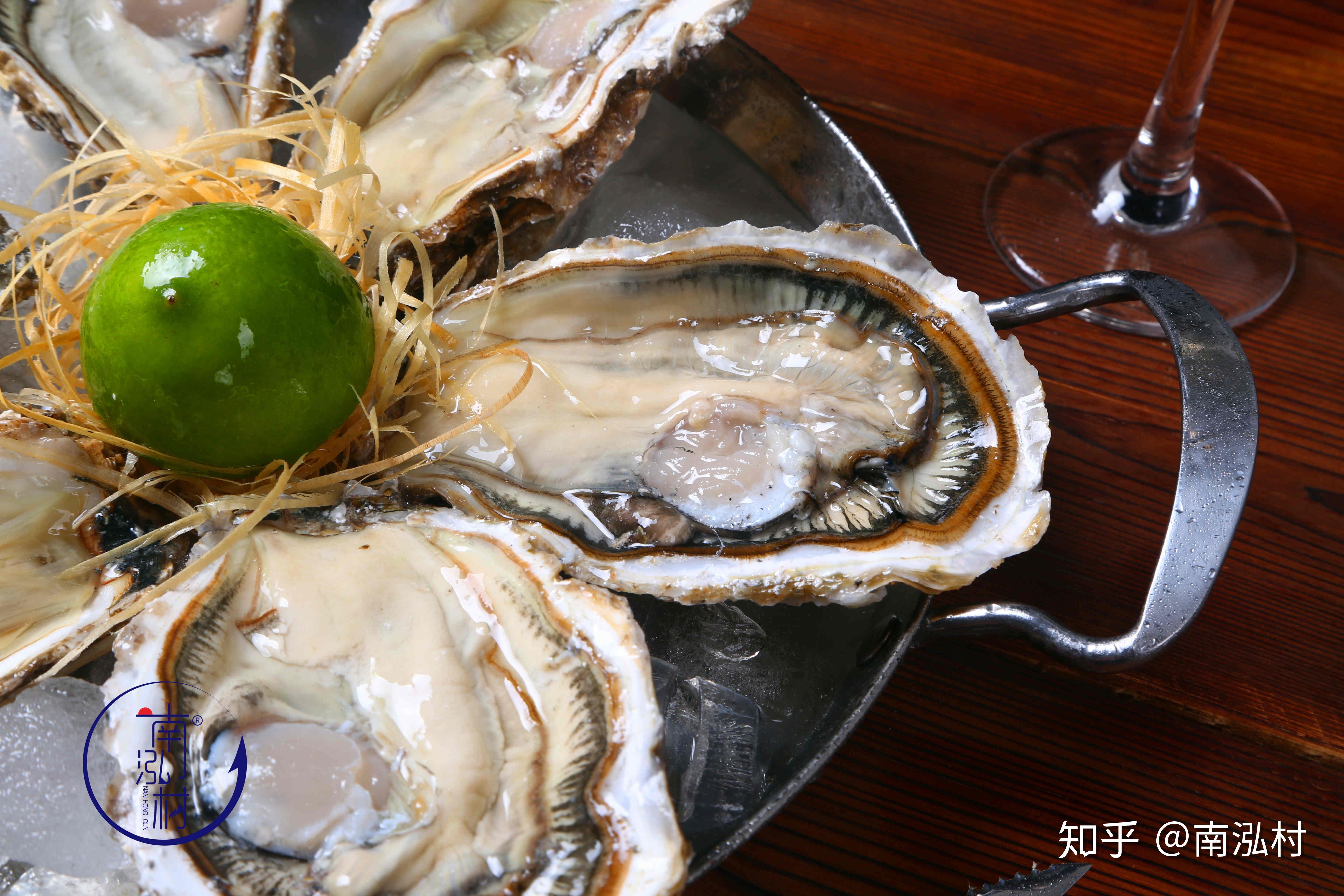 乳山生蚝贵族金牡蛎细节展示源自乳山南泓村