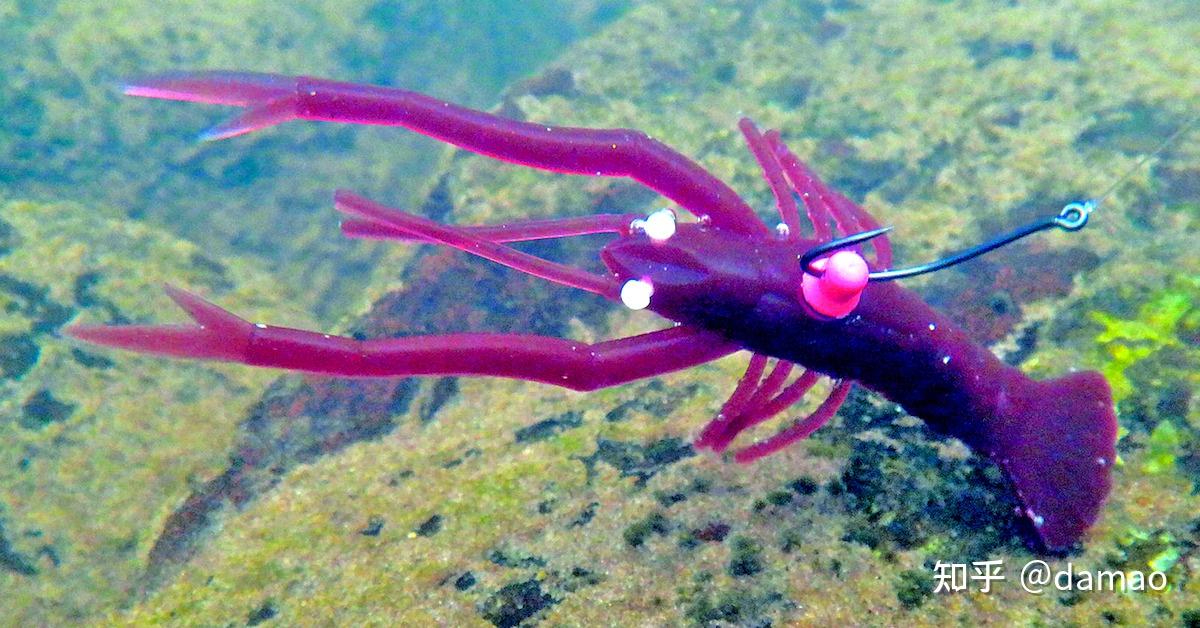 路亚百科:清场钓组——插铅/neko钓组