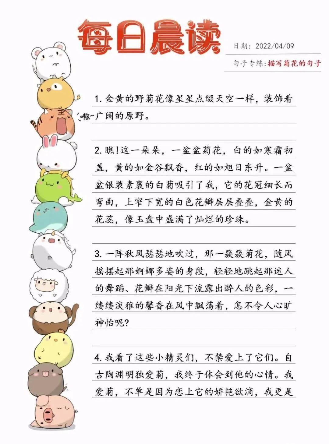 免费分享丨火爆小红书的每日晨读资料汇总 - 知乎