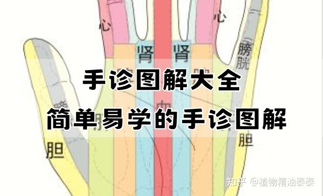 手诊图解大全，简单易学的手诊图解，快速看懂！ - 知乎