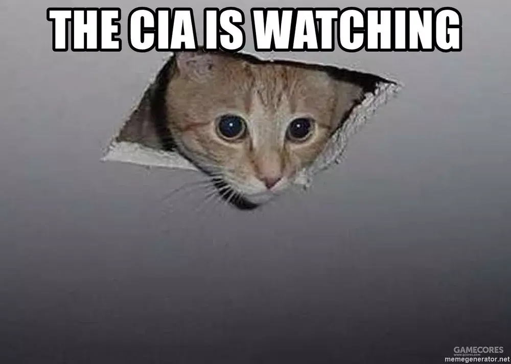 还有些猫的表情包,会和cia(美国中央情报局)联系起来.