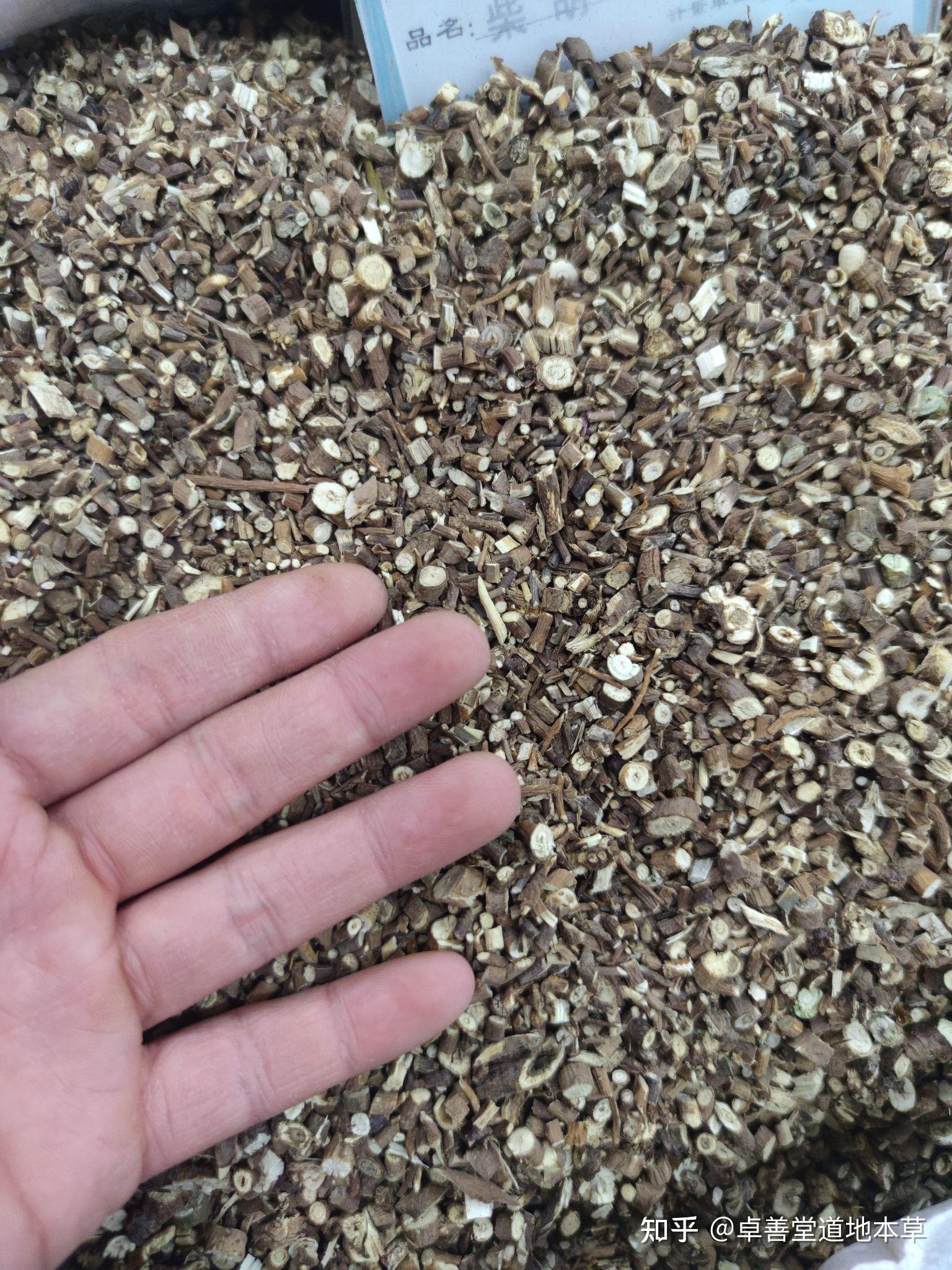 柴胡,常用柴胡辨别