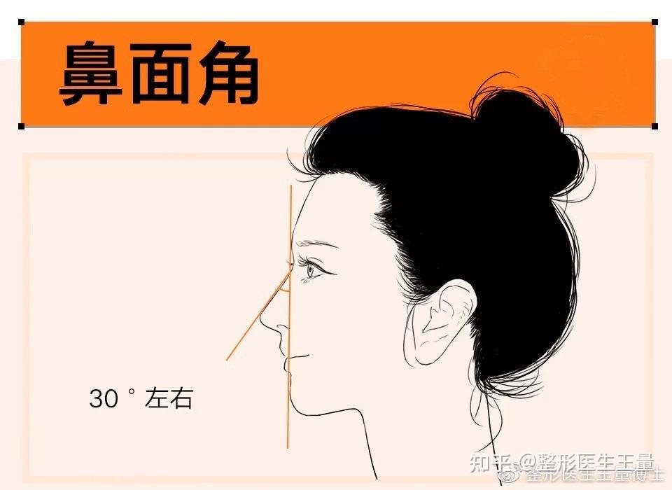 怎样的鼻子才好看？全都藏在这些细节里 - 知乎