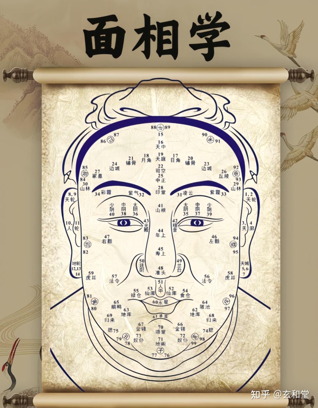 面相入门大全,掌握以下几个方面,就能成为相学家! - 知乎