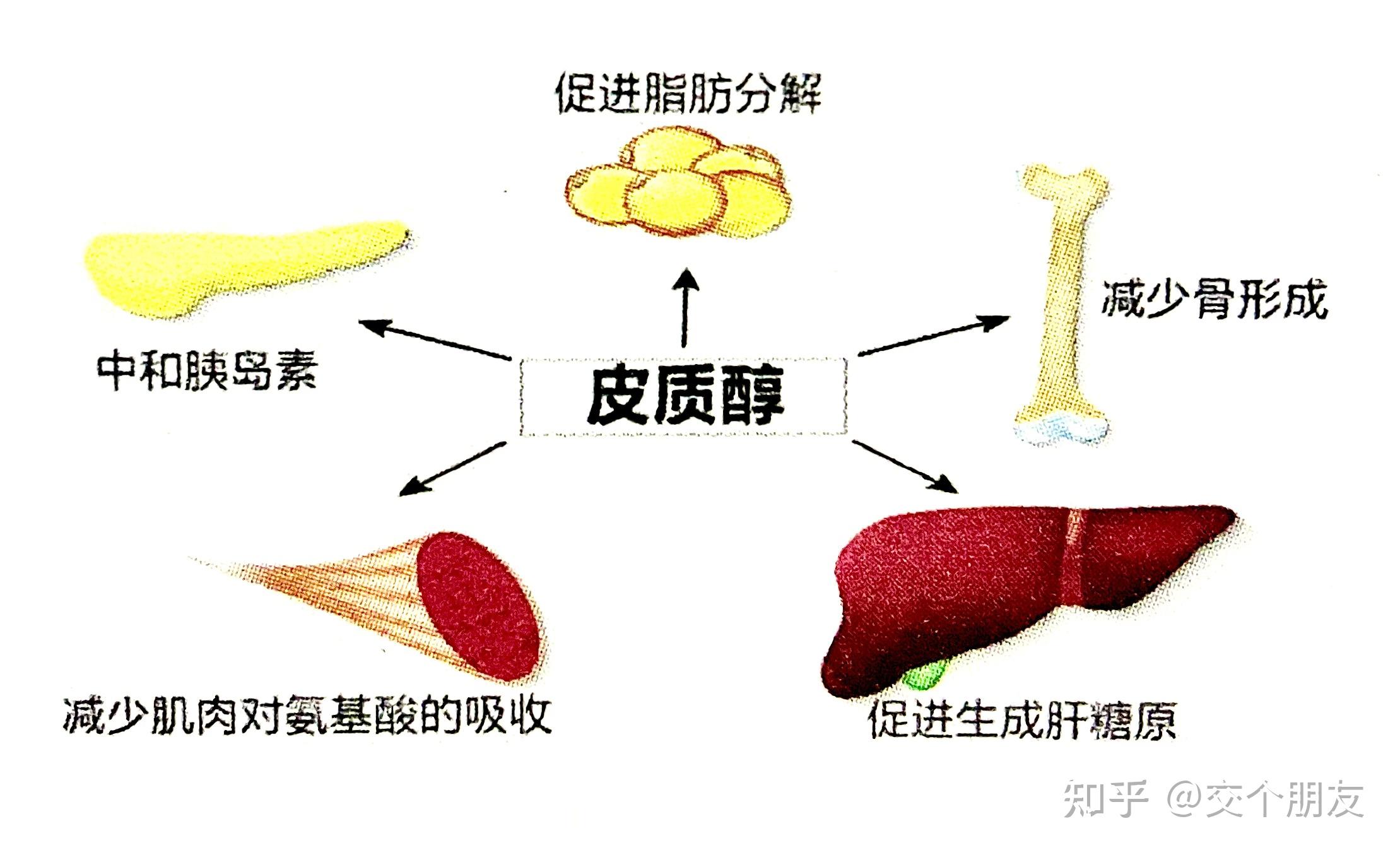 皮质醇高的症状图片图片