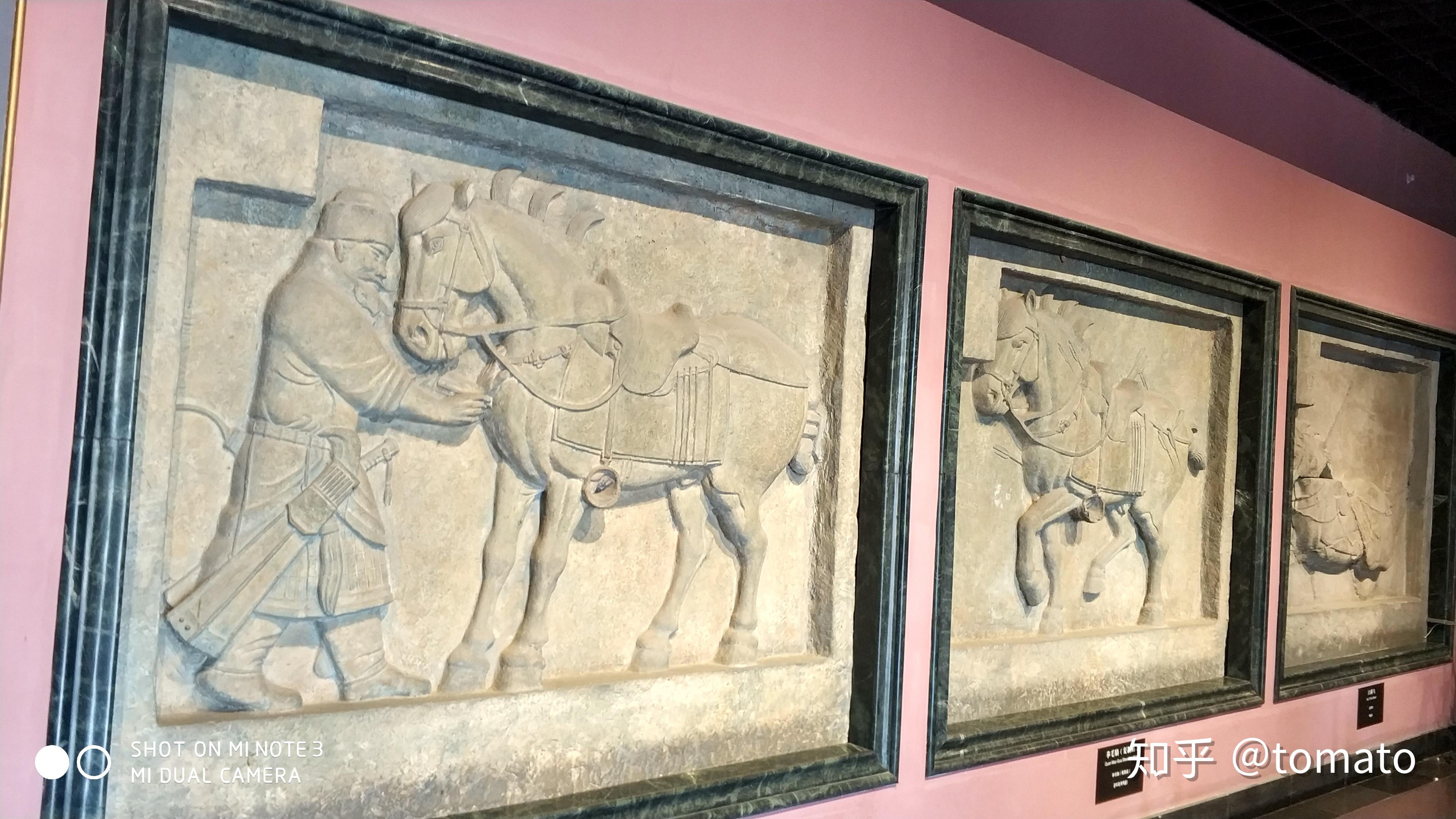 唐昭陵六骏浮雕