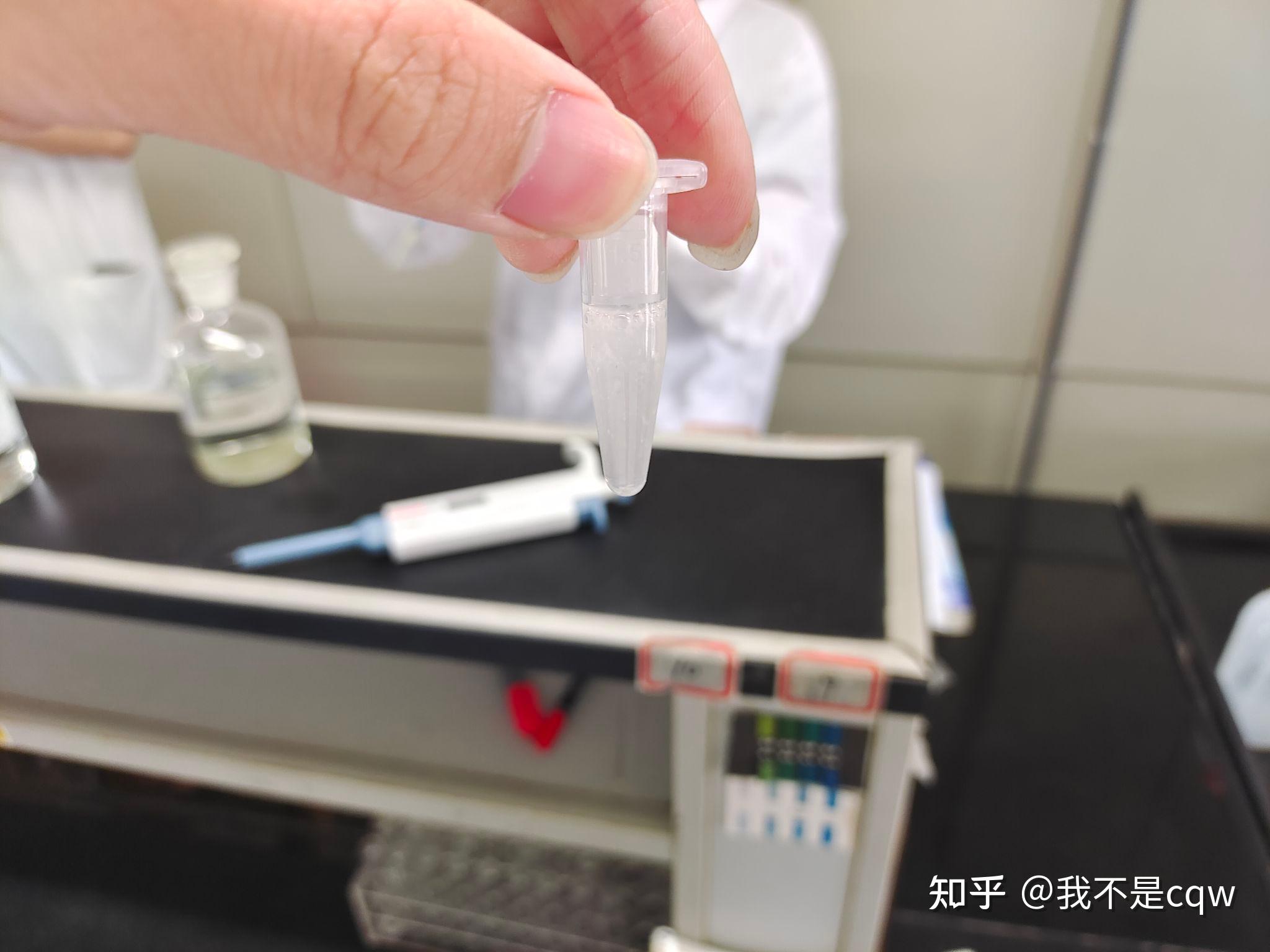 实验报告:质粒DNA的提取与鉴定(分生) - 知乎