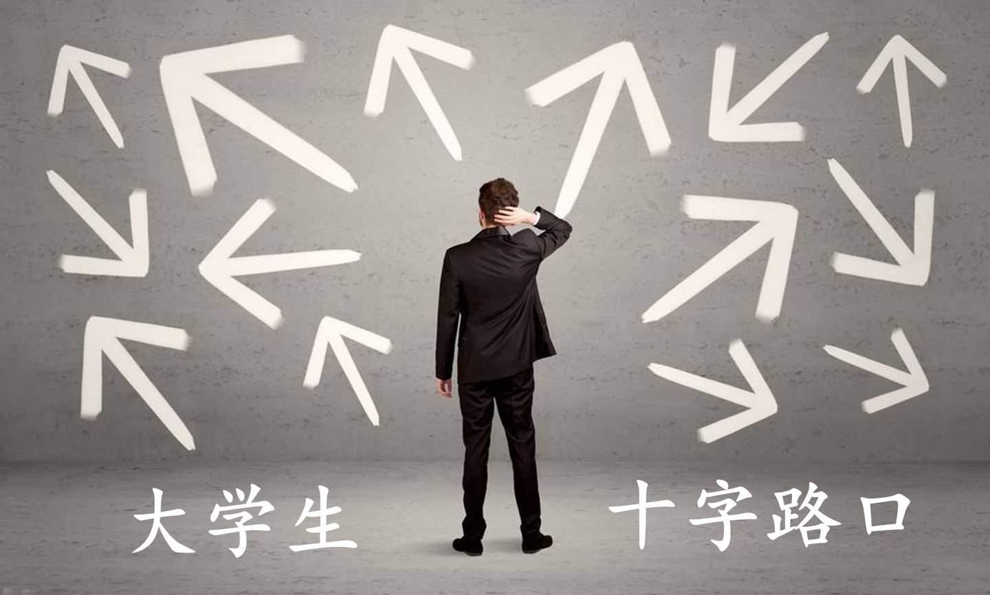 精 大学生职业发展路径 四大方向 四大维度深度解析 全文共字 宜深度阅读 知乎