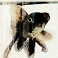 火星科技站点