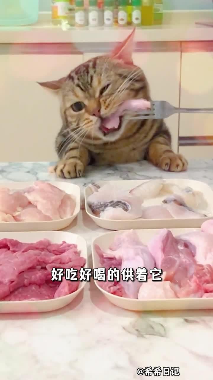 v2-f1e9db76fc27f31baa43124f5ddf917b.jpg?source=382ee89a