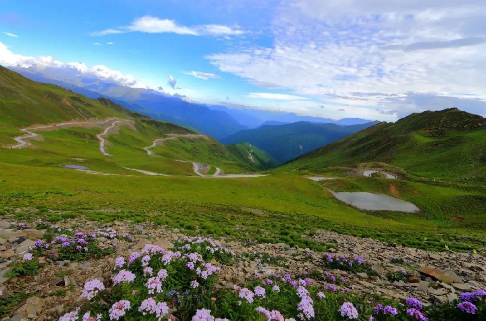 格萨拉生态旅游区图片