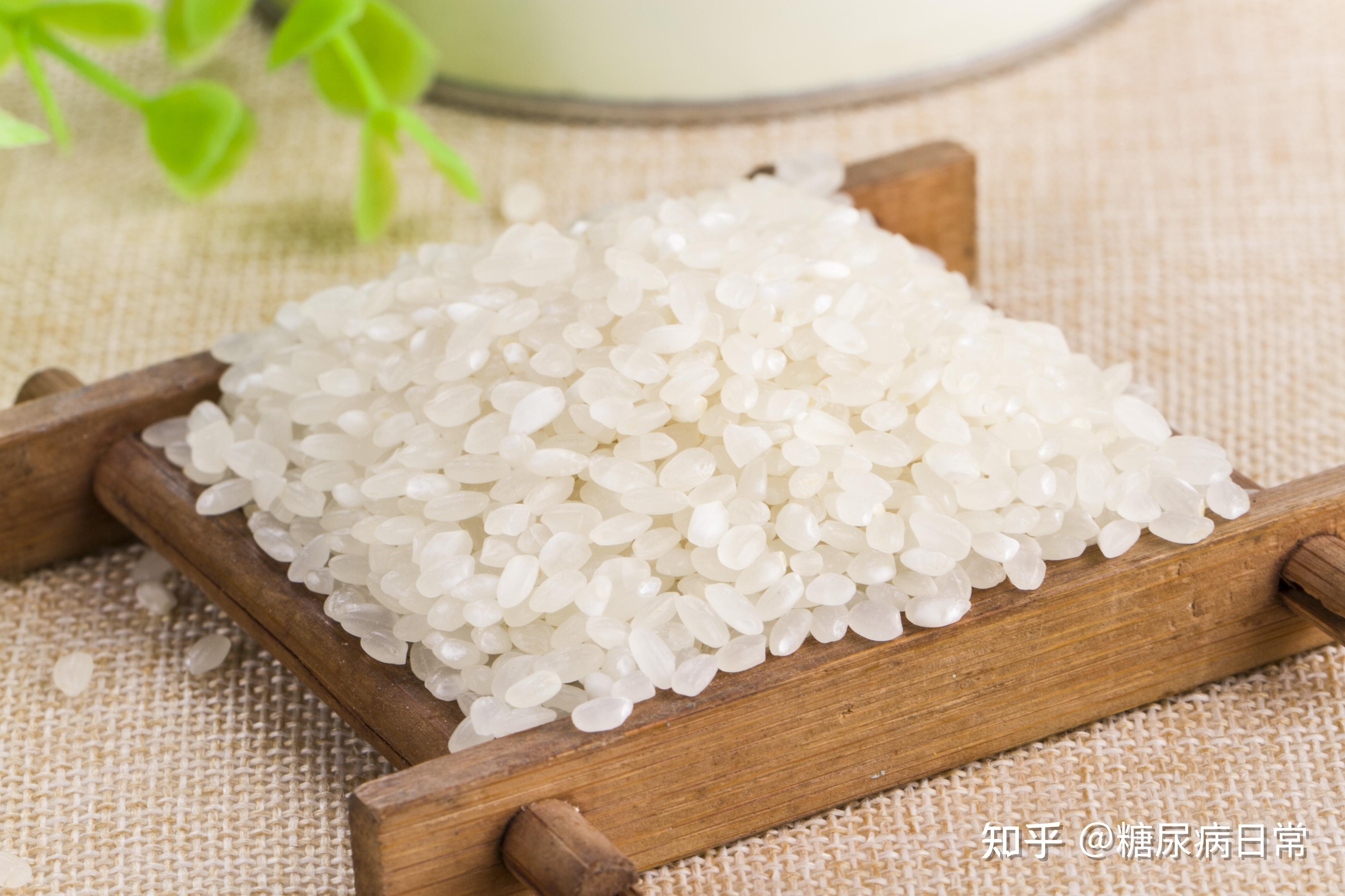 【屯屯麦适糖米】