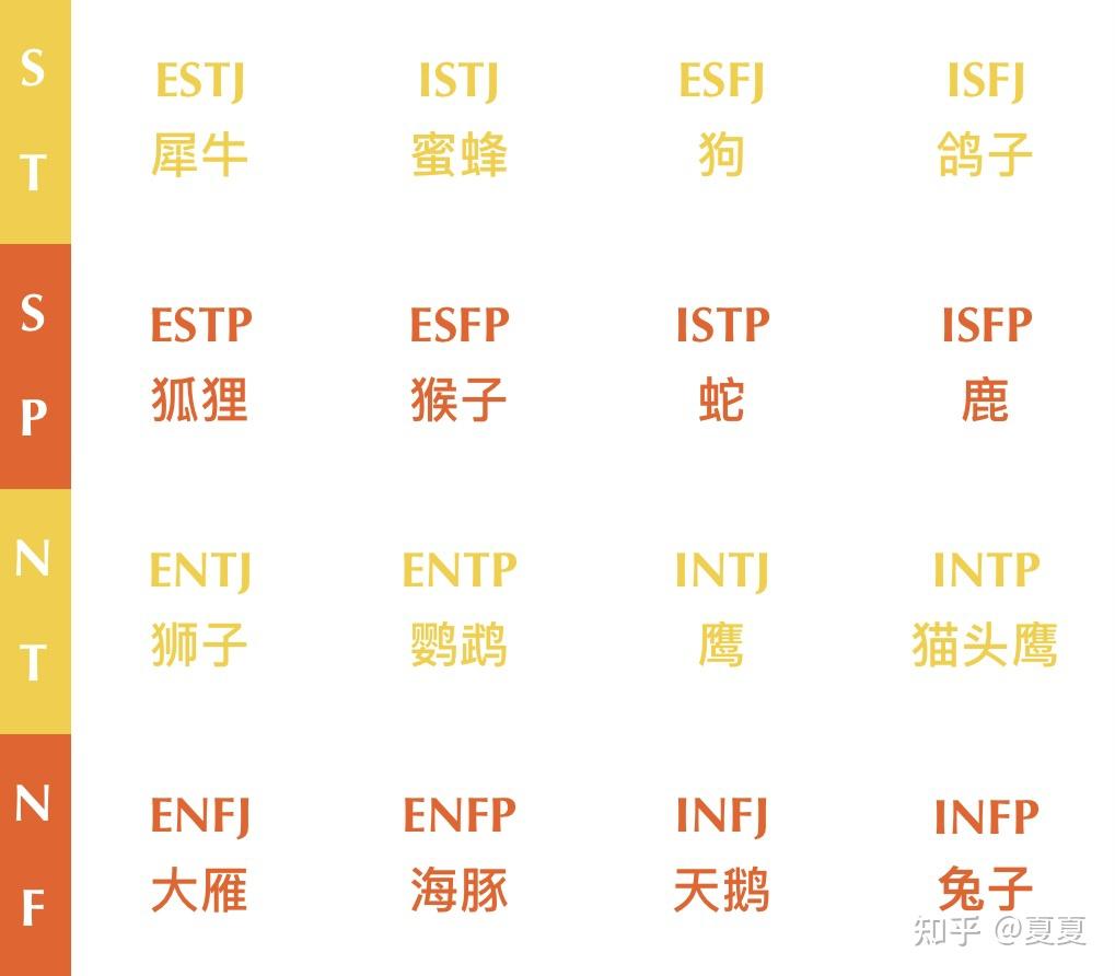 16型人格动物具象续:熊猫兔!白色猫头鹰!看看你是什么