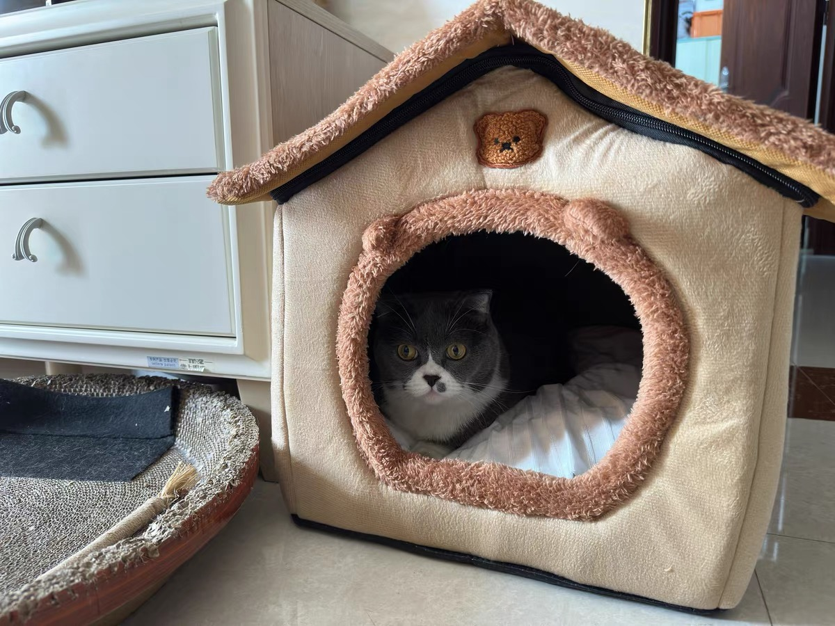 猫窝买封闭还是半封闭好?关于猫窝我有发言权! - 知乎