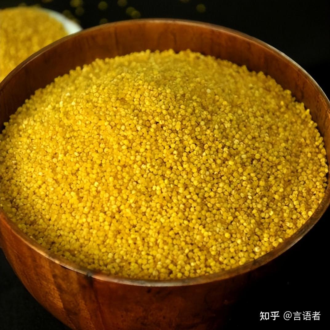 米脂小米做法（小米粥怎么熬才能出米脂呢？） | 说明书网