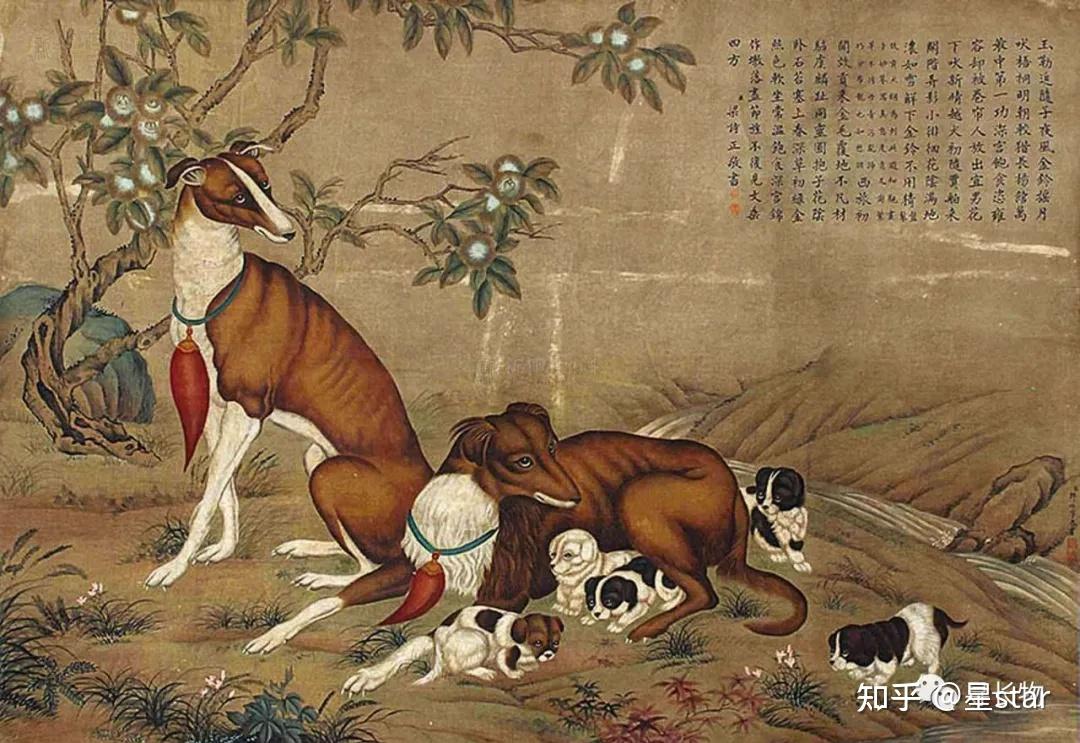 犬入丹青古画中的狗