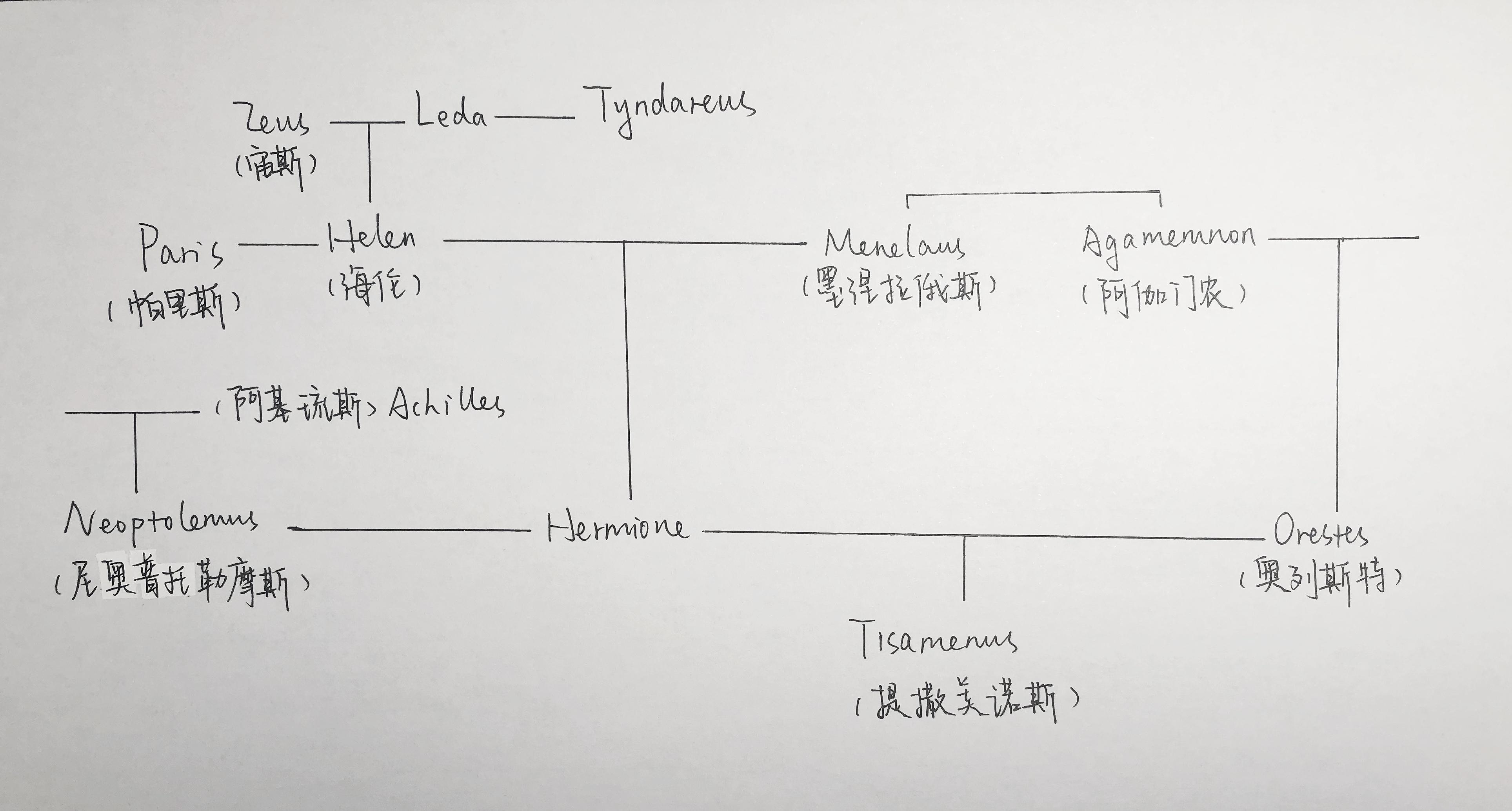 阿伽门农人物关系图片