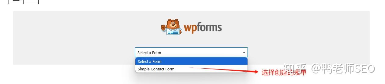 WPForms教程 – WordPress联系表单创建全攻略 - 知乎